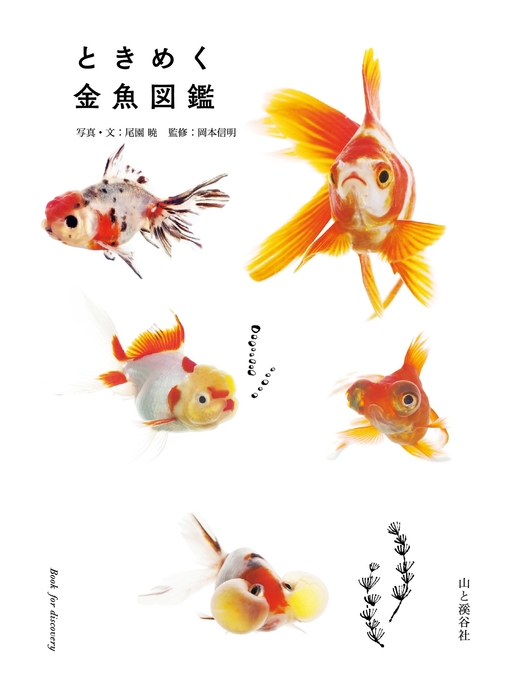 尾園暁作のときめく金魚図鑑の作品詳細 - 貸出可能